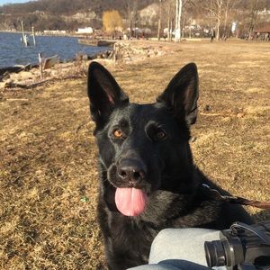 Meet your Posher, Katie